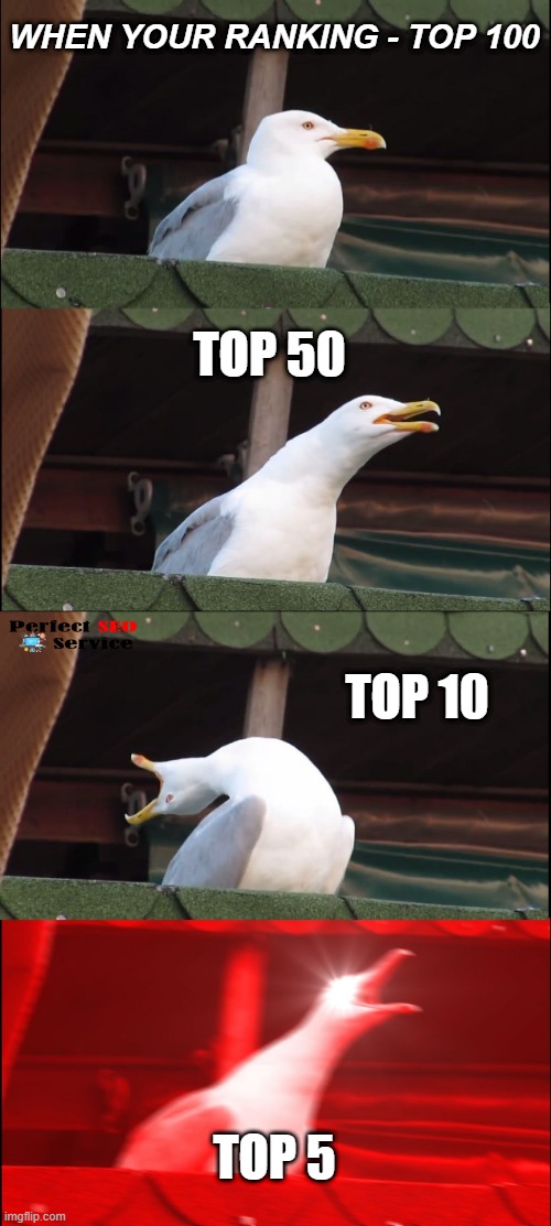 SEO | WHEN YOUR RANKING - TOP 100; TOP 50; TOP 10; TOP 5 | image tagged in memes,inhaling seagull | made w/ Imgflip meme maker