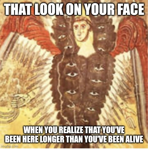 Be Not Afraid | THAT LOOK ON YOUR FACE; WHEN YOU REALIZE THAT YOU'VE BEEN HERE LONGER THAN YOU'VE BEEN ALIVE | image tagged in be not afraid | made w/ Imgflip meme maker