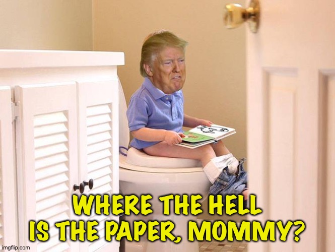 trump, toilet | WHERE THE HELL IS THE PAPER, MOMMY? | image tagged in trump toilet | made w/ Imgflip meme maker