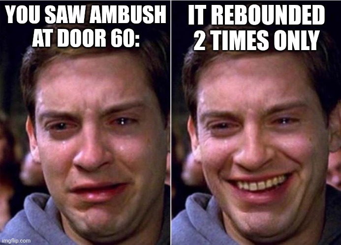 Actually happened to meh: | YOU SAW AMBUSH AT DOOR 60:; IT REBOUNDED 2 TIMES ONLY | image tagged in peter parker sad cry happy cry | made w/ Imgflip meme maker