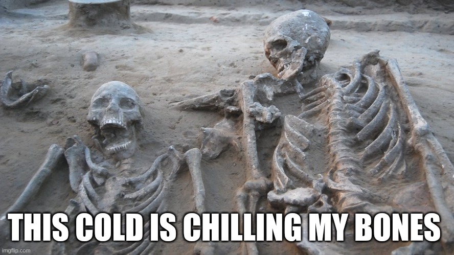 Embrace the darkness | THIS COLD IS CHILLING MY BONES | image tagged in bones,winter | made w/ Imgflip meme maker