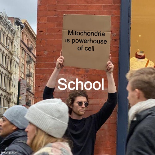 Mitochondria 
is powerhouse of cell; School | image tagged in memes,guy holding cardboard sign | made w/ Imgflip meme maker