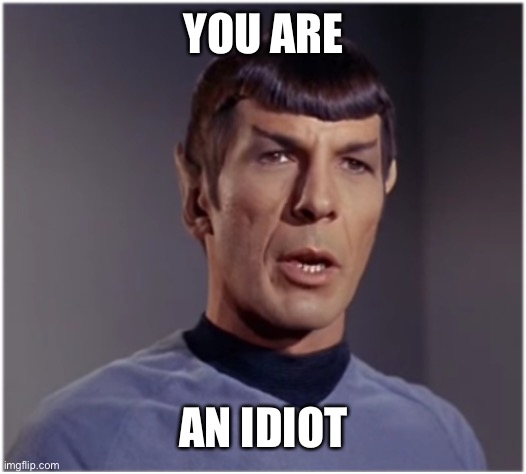 spock speaks | YOU ARE AN IDIOT | image tagged in spock speaks | made w/ Imgflip meme maker