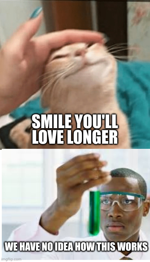 Pet the cat | WE HAVE NO IDEA HOW THIS WORKS SMILE YOU'LL LOVE LONGER | image tagged in pet the cat | made w/ Imgflip meme maker