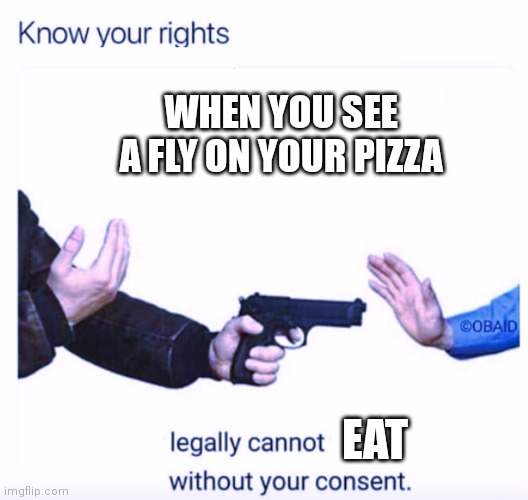 Ask for consent |  WHEN YOU SEE A FLY ON YOUR PIZZA; EAT | image tagged in know your rights,fly,pizza,not funny,i tried,sorry | made w/ Imgflip meme maker