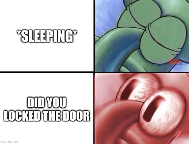 sleeping Squidward | *SLEEPING*; DID YOU LOCKED THE DOOR | image tagged in sleeping squidward | made w/ Imgflip meme maker