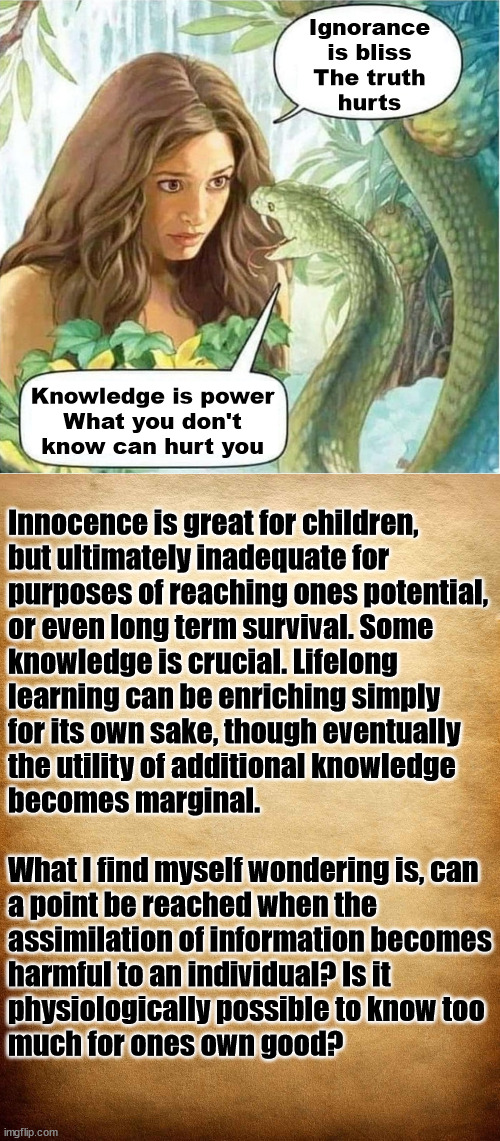 Idle minds are tools of the devil ;-) | Ignorance
is bliss
The truth
hurts; Knowledge is power
What you don't know can hurt you; Innocence is great for children,
but ultimately inadequate for
purposes of reaching ones potential,
or even long term survival. Some
knowledge is crucial. Lifelong
learning can be enriching simply
for its own sake, though eventually
the utility of additional knowledge
becomes marginal.
 
What I find myself wondering is, can
a point be reached when the
assimilation of information becomes
harmful to an individual? Is it
physiologically possible to know too 
much for ones own good? | image tagged in eve and the serpent in the garden of eden,parchment | made w/ Imgflip meme maker