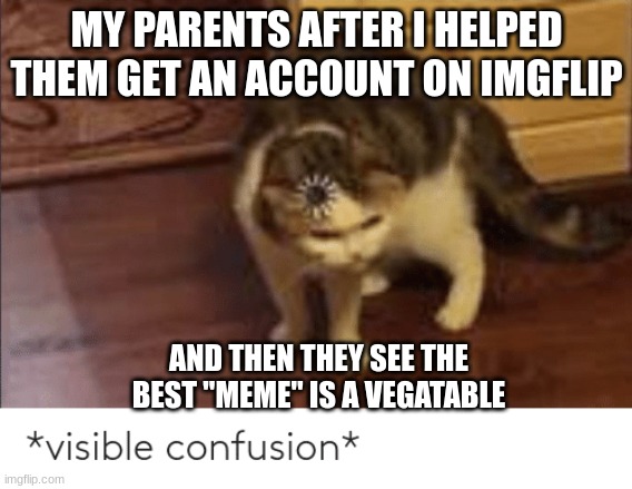 Can we stop with edible foods please? | MY PARENTS AFTER I HELPED THEM GET AN ACCOUNT ON IMGFLIP; AND THEN THEY SEE THE BEST "MEME" IS A VEGATABLE | image tagged in visible confusion | made w/ Imgflip meme maker