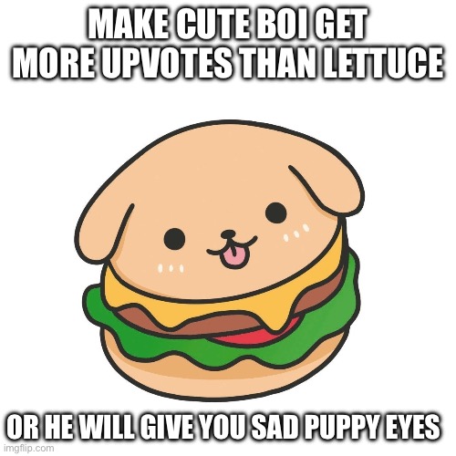 puppy eyes? | MAKE CUTE BOI GET MORE UPVOTES THAN LETTUCE; OR HE WILL GIVE YOU SAD PUPPY EYES | image tagged in dog,cute,upvote | made w/ Imgflip meme maker