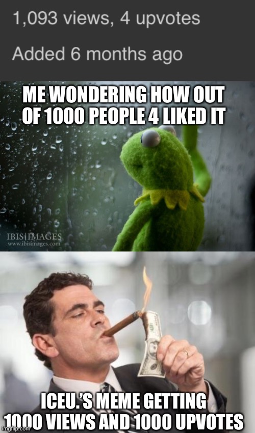 Probably because my memes are bad… | ME WONDERING HOW OUT OF 1000 PEOPLE 4 LIKED IT; ICEU.’S MEME GETTING 1000 VIEWS AND 1000 UPVOTES | image tagged in kermit window,rich guy burning money | made w/ Imgflip meme maker