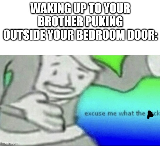 :( | WAKING UP TO YOUR BROTHER PUKING OUTSIDE YOUR BEDROOM DOOR: | image tagged in excuse me wtf blank template | made w/ Imgflip meme maker