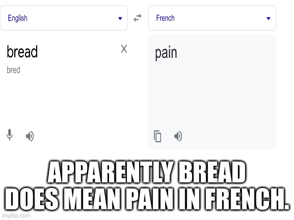 APPARENTLY BREAD DOES MEAN PAIN IN FRENCH. | image tagged in bread | made w/ Imgflip meme maker