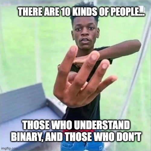 Black Boi holding up 4 fingers | THERE ARE 10 KINDS OF PEOPLE... THOSE WHO UNDERSTAND BINARY, AND THOSE WHO DON'T | image tagged in black boi holding up 4 fingers | made w/ Imgflip meme maker