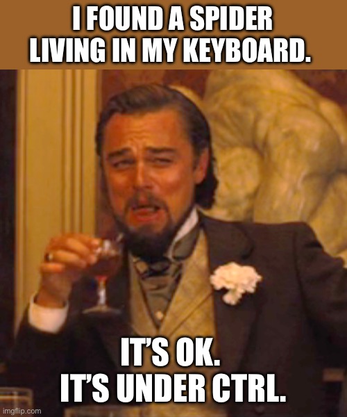 Spider | I FOUND A SPIDER LIVING IN MY KEYBOARD. IT’S OK.  IT’S UNDER CTRL. | image tagged in memes,laughing leo,dad joke | made w/ Imgflip meme maker