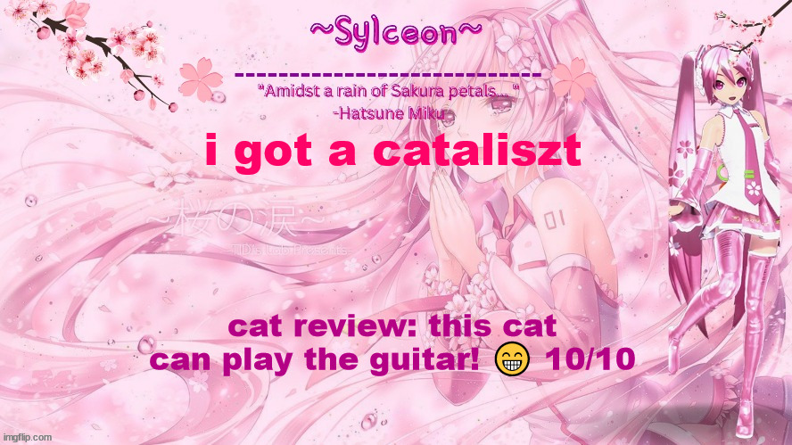 sylc's sakura temp (thx drm) | i got a cataliszt; cat review: this cat can play the guitar! 😁 10/10 | image tagged in sylc's sakura temp thx drm | made w/ Imgflip meme maker