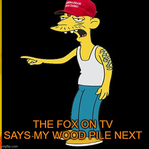 THE FOX ON TV SAYS MY WOOD PILE NEXT | made w/ Imgflip meme maker