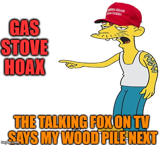 What the talking Fox say today,Ma? | GAS STOVE HOAX; THE TALKING FOX ON TV
 SAYS MY WOOD PILE NEXT | image tagged in maga,propaganda,hoax,media lies,funny memes | made w/ Imgflip meme maker