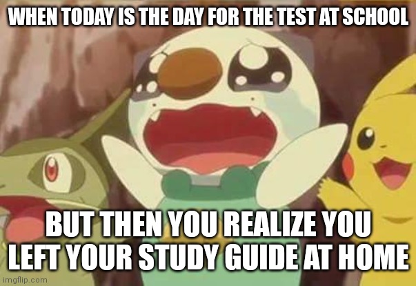 I only made this because this has happened to me before | WHEN TODAY IS THE DAY FOR THE TEST AT SCHOOL; BUT THEN YOU REALIZE YOU LEFT YOUR STUDY GUIDE AT HOME | image tagged in funny pokemon,school | made w/ Imgflip meme maker