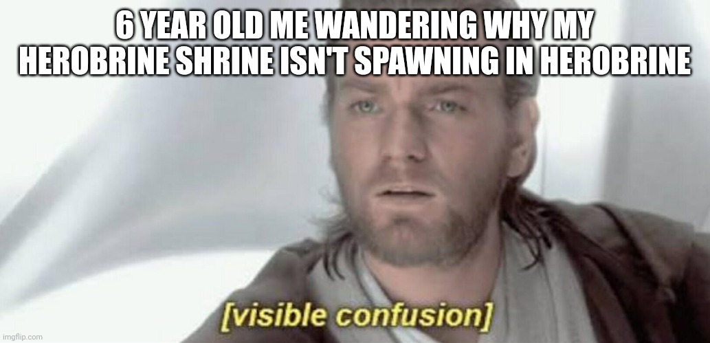 Visible Confusion | 6 YEAR OLD ME WANDERING WHY MY HEROBRINE SHRINE ISN'T SPAWNING IN HEROBRINE | image tagged in visible confusion | made w/ Imgflip meme maker