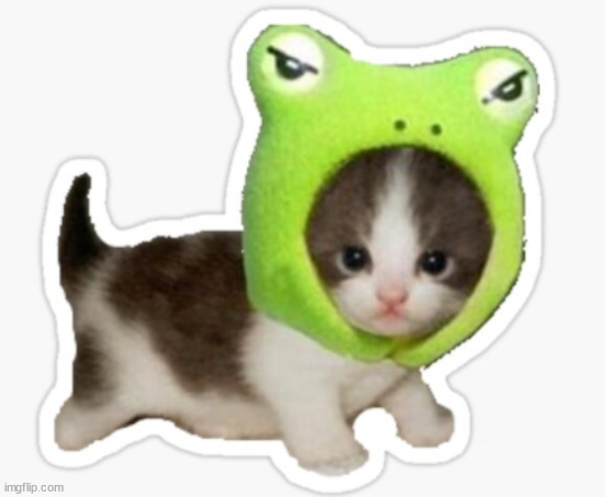 baby crog | image tagged in baby crog | made w/ Imgflip meme maker