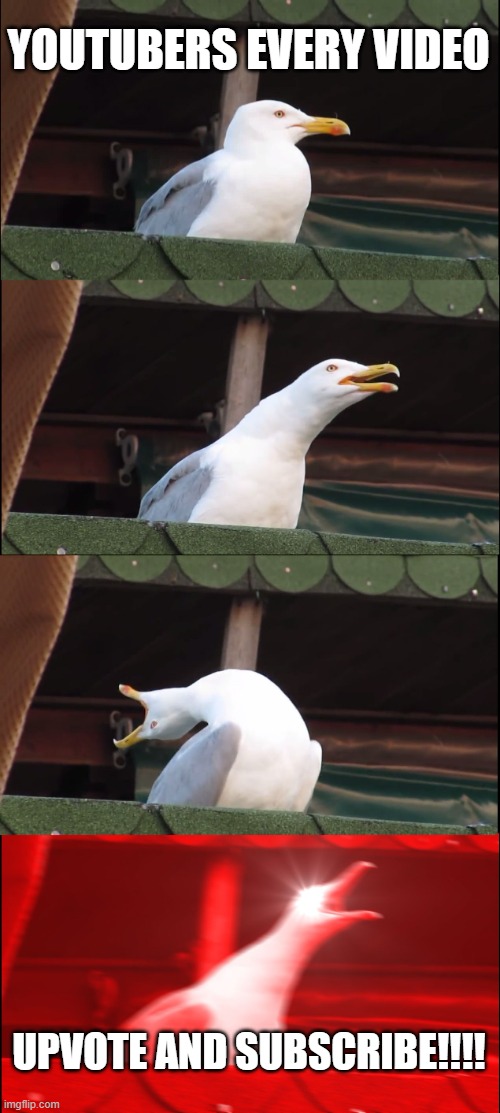 Inhaling Seagull Meme | YOUTUBERS EVERY VIDEO; UPVOTE AND SUBSCRIBE!!!! | image tagged in memes,inhaling seagull | made w/ Imgflip meme maker