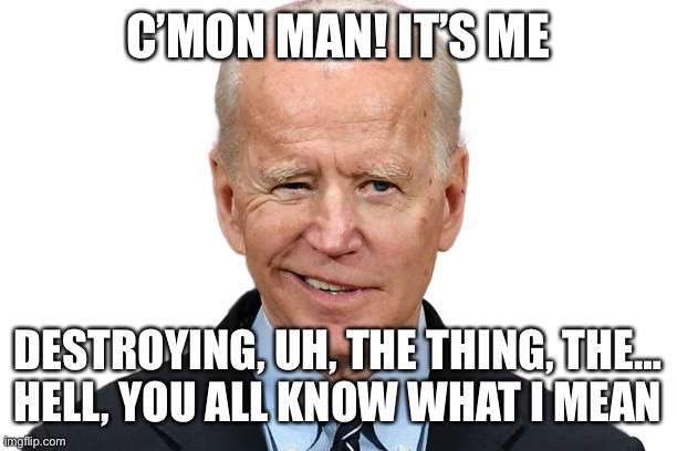 Goofy Biden | C’MON MAN! IT’S ME DESTROYING, UH, THE THING, THE…
HELL, YOU ALL KNOW WHAT I MEAN | image tagged in goofy biden | made w/ Imgflip meme maker