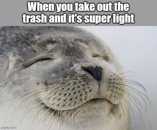 Meme #338 | When you take out the trash and it's super light | image tagged in memes,satisfied seal,trash,satisfaction,relatable,so true | made w/ Imgflip meme maker