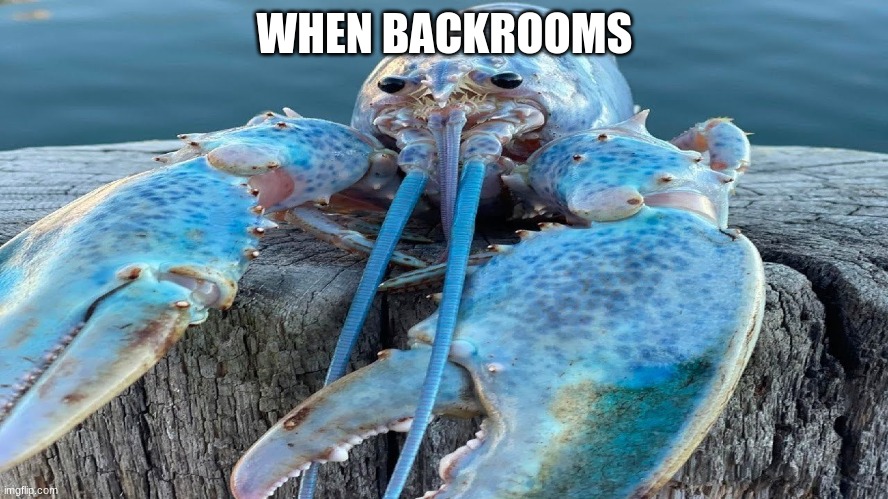 blue lobster | WHEN BACKROOMS | image tagged in blue lobster | made w/ Imgflip meme maker