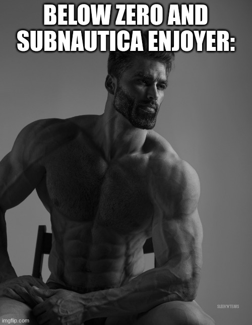 Giga Chad | BELOW ZERO AND SUBNAUTICA ENJOYER: | image tagged in giga chad | made w/ Imgflip meme maker