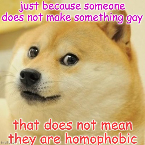 the doge of wisdom | just because someone does not make something gay; that does not mean they are homophobic | image tagged in memes,doge | made w/ Imgflip meme maker