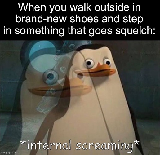 Private Internal Screaming | When you walk outside in brand-new shoes and step in something that goes squelch: | image tagged in private internal screaming,memes,funny,shoes,poop,dog poop | made w/ Imgflip meme maker
