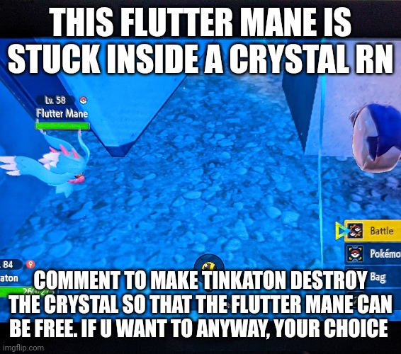 Title here | THIS FLUTTER MANE IS STUCK INSIDE A CRYSTAL RN; COMMENT TO MAKE TINKATON DESTROY THE CRYSTAL SO THAT THE FLUTTER MANE CAN BE FREE. IF U WANT TO ANYWAY, YOUR CHOICE | image tagged in pokemon | made w/ Imgflip meme maker
