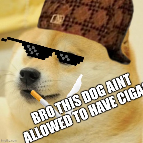 Putting sunglasses, smoke, and scumbag hat on everything part 2 | BRO THIS DOG AINT ALLOWED TO HAVE CIGAR | made w/ Imgflip meme maker