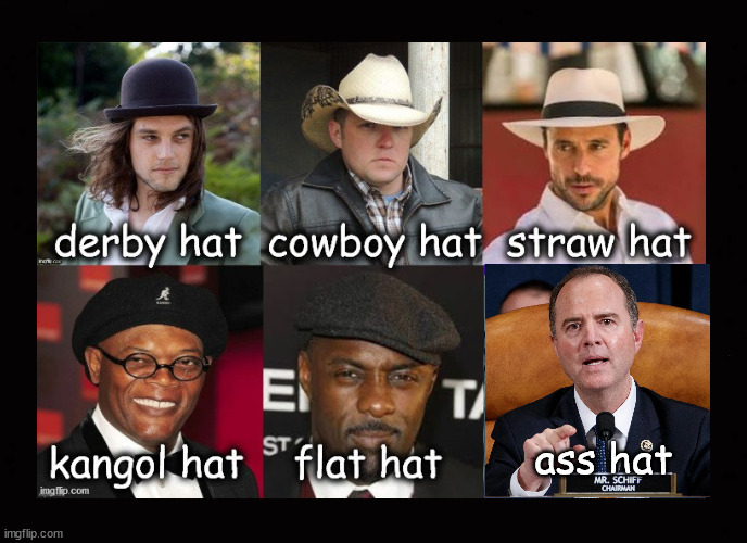 A variety of hats | ass hat | image tagged in hats | made w/ Imgflip meme maker