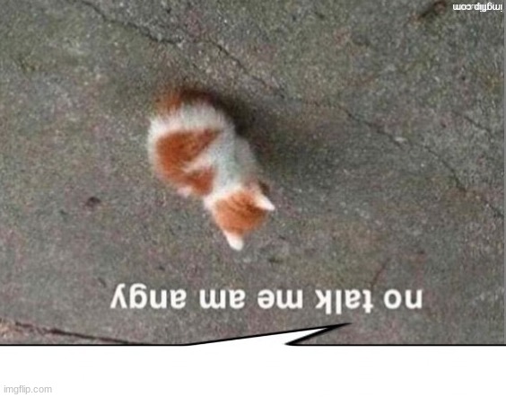 this is a joke btw,bc dead stream | made w/ Imgflip meme maker