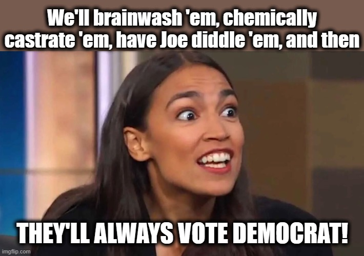 Crazy AOC | We'll brainwash 'em, chemically castrate 'em, have Joe diddle 'em, and then THEY'LL ALWAYS VOTE DEMOCRAT! | image tagged in crazy aoc | made w/ Imgflip meme maker
