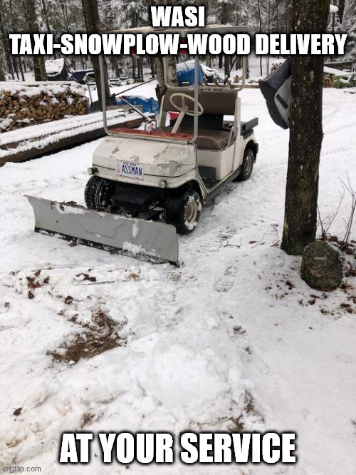 golf cart snowplow | WASI TAXI-SNOWPLOW-WOOD DELIVERY; AT YOUR SERVICE | image tagged in golf,cart | made w/ Imgflip meme maker