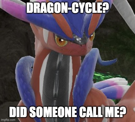 Koraidon no bitches | DRAGON-CYCLE? DID SOMEONE CALL ME? | image tagged in koraidon no bitches | made w/ Imgflip meme maker