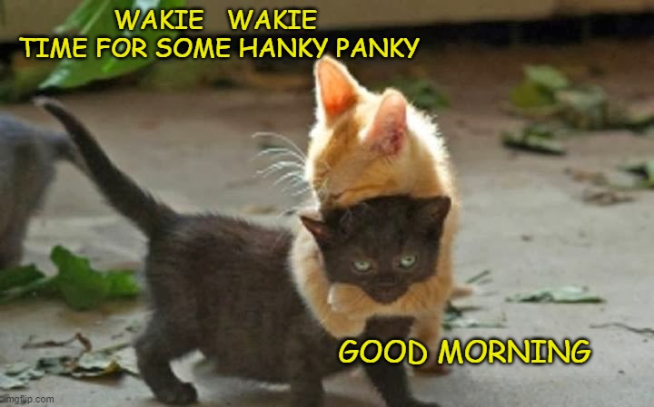 WAKIE   WAKIE
 TIME FOR SOME HANKY PANKY; GOOD MORNING | image tagged in good morning | made w/ Imgflip meme maker