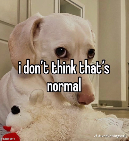 Homophobic dog | image tagged in homophobic dog | made w/ Imgflip meme maker