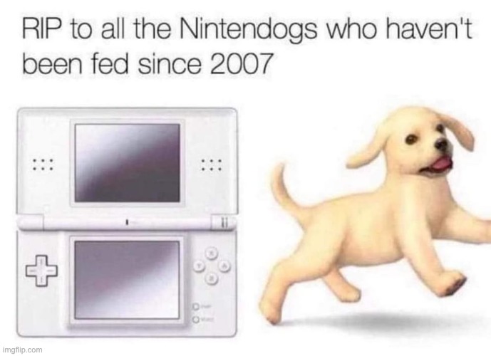 Give respect for Them :( | image tagged in gaming,dogs,memes,nintendo,dog,nintendo ds | made w/ Imgflip meme maker