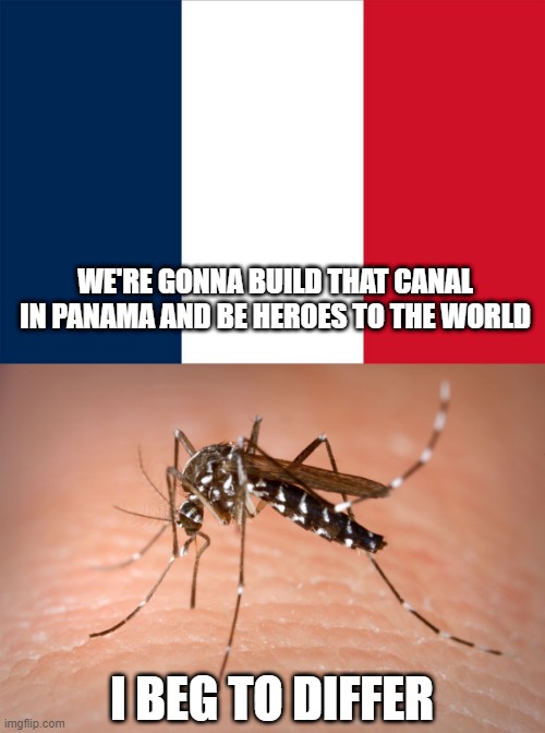 Canal Fail | WE'RE GONNA BUILD THAT CANAL IN PANAMA AND BE HEROES TO THE WORLD; I BEG TO DIFFER | image tagged in flag of france,mosquito | made w/ Imgflip meme maker