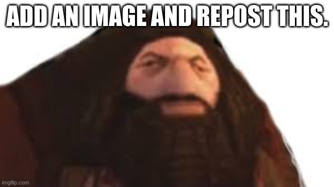Read it. technically has hagrid from PS1 so please dont remove. | ADD AN IMAGE AND REPOST THIS. | image tagged in repost this,never gonna give you up,hamburgers | made w/ Imgflip meme maker