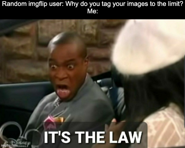 It's the law | Random imgflip user: Why do you tag your images to the limit?
Me: | image tagged in it's the law,imgflip,justacheemsdoge,memes,funny,imgflip users | made w/ Imgflip meme maker