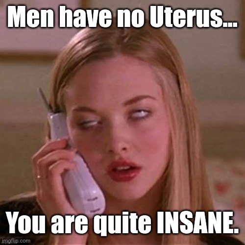 When Karen thinks you're stupid... | Men have no Uterus... You are quite INSANE. | image tagged in when karen thinks you're stupid | made w/ Imgflip meme maker