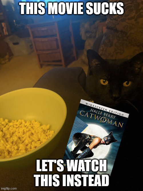 He just likes bad movies | THIS MOVIE SUCKS; LET'S WATCH THIS INSTEAD | image tagged in this movie sucks let's watch,movies,catwoman,dc comics,bad movies,cat | made w/ Imgflip meme maker
