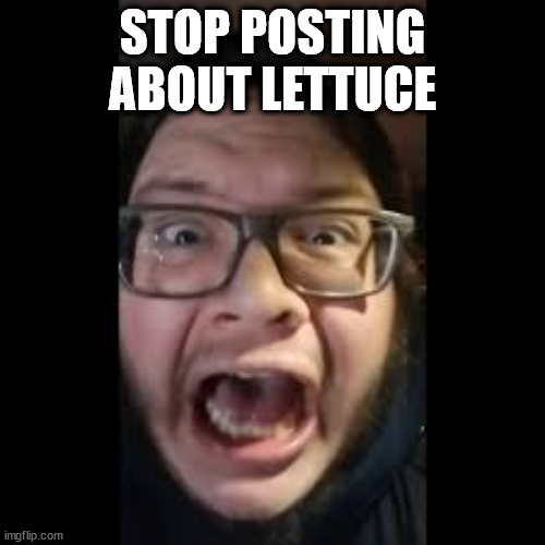 STOP. POSTING. ABOUT AMONG US | STOP POSTING ABOUT LETTUCE | image tagged in stop posting about among us | made w/ Imgflip meme maker