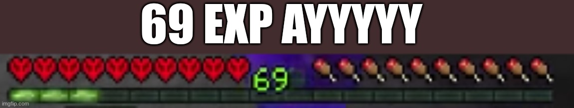 69 EXP AYYYYY | image tagged in 69 | made w/ Imgflip meme maker