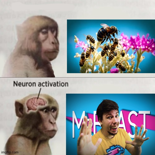 bro thinks he mr bees | image tagged in neuron activated | made w/ Imgflip meme maker