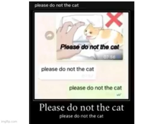 Please do not the cat | image tagged in pleasedonotthecat,memes,reposts | made w/ Imgflip meme maker